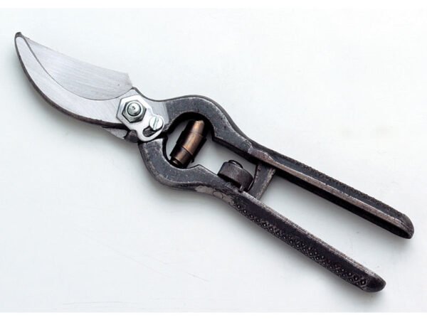 FORBICI POTA AUSONIA SPAZZOLATE 23CM