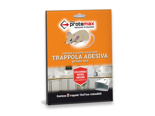 CF.2 CARTONCINI ADESIVI P/TOPI 15x21