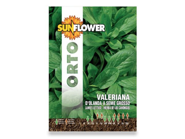 SEMENTI ORTO VALERIANA