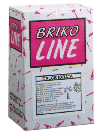 CALCE IDRATA BRIKO 2,5KG