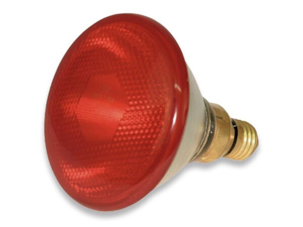LAMP.SPOT INFRAROSSI E27 100W