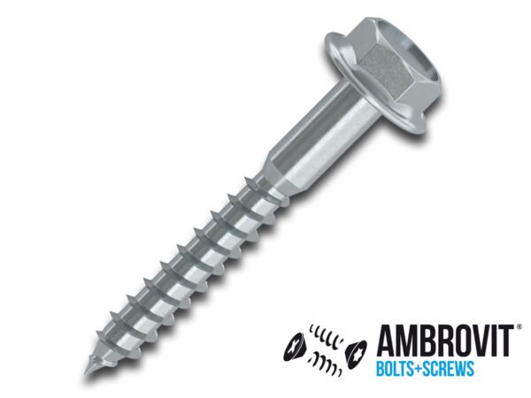 CF.200 VITI MORDENTI ZINC. T.E. C/COLLARE 6X50