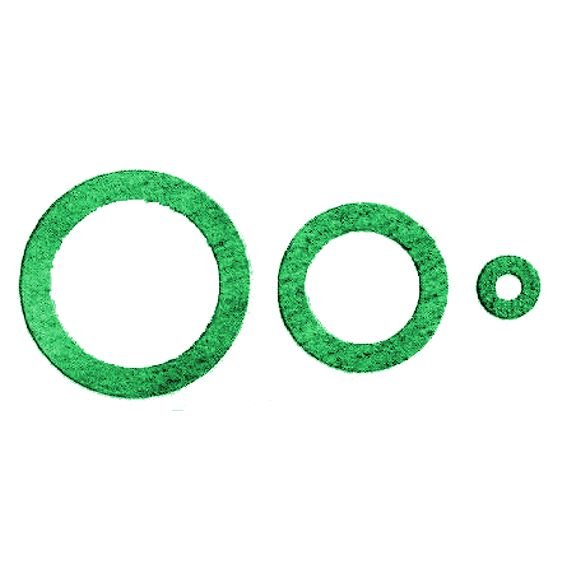 GUARNIZ S/AM.X.RA OT.1"1/4 PZ100