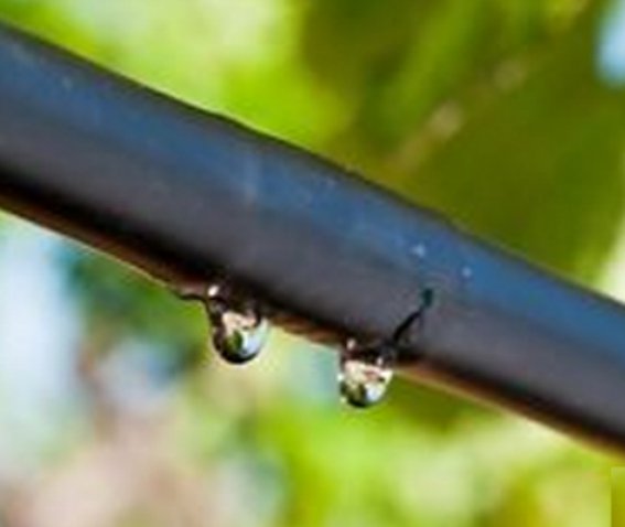 ALA GOCCõ16 30CM 2LTH MT50