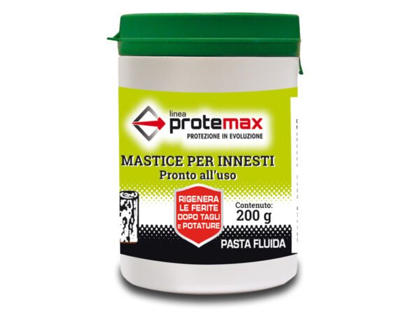 MASTICE PER INNESTI 200GR