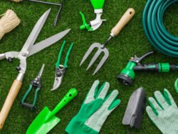 GIARDINAGGIO E AGRICOLTURA