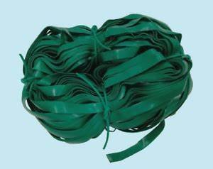 FETUCCINA PIATTA PER INNESTI