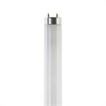 NEON T8 58W/865 6500K 150CM