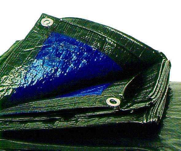 TELO C/OCCHIELLI CHEAP 8x12