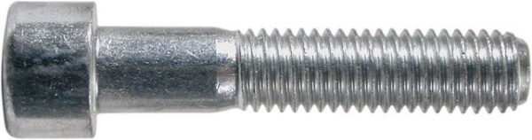 VITE ACC. ZINC. T.C.E.I. 10x100