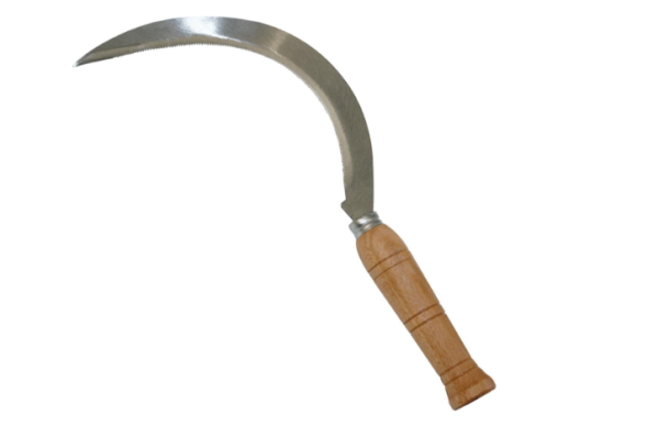 FALCIOLA DENTATA 7/0 25CM