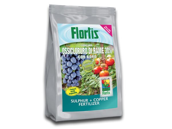 OSSIDOCLORURO VERDERAME IN POLVERE 1KG