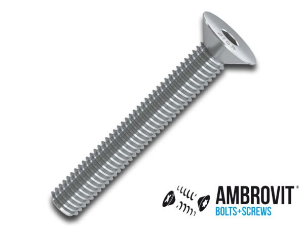 CF.100 VITE TSPEI ZINC.10x70