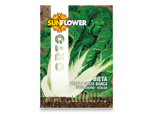 SEMENTI ORTO BETOLA VERDE A COSTA BIANCA 8GR