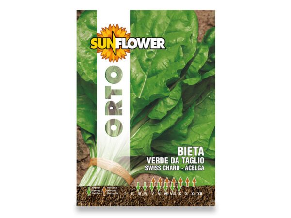 SEMENTI ORTO BETOLA VERDE DA TAGLIO 8GR