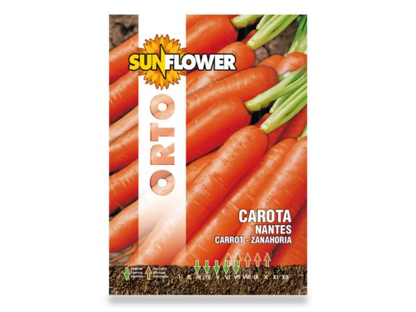 SEMENTI ORTO CAROTA 8GR