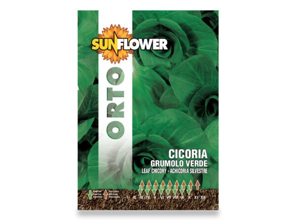 SEMENTI ORTO CICORIA 9GR