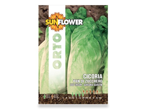 SEMENTI ORTO CICORIA PAN DI ZUCCHERO 9GR