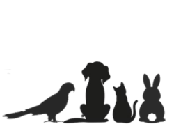 -PRODOTTI, ACCESSORI, ALIMENTI PER PICCOLI ANIMALI