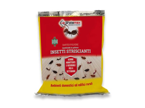 POLVERE ANTIFORMICA 1000GR
