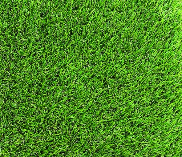 PRATO SINTETICO GOLF SP.8MM 1x4MT