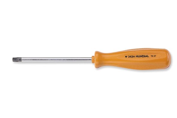 GIRAVITE TORX C/FORO TX 25x100